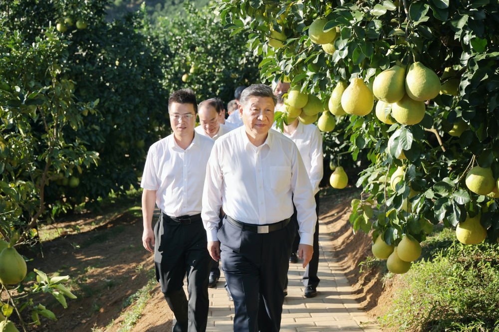蔡奇陪同考察
